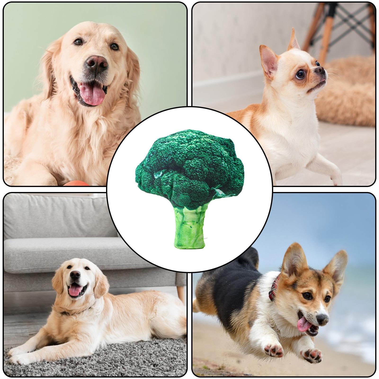 Amazon.co.jp: 小型犬用のきしむおもちゃ, 野菜 犬用おもちゃ, ソフト